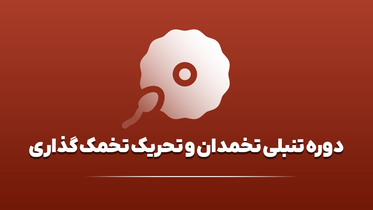 دوره تنبلی تخمدان و تحریک تخمک گذاری