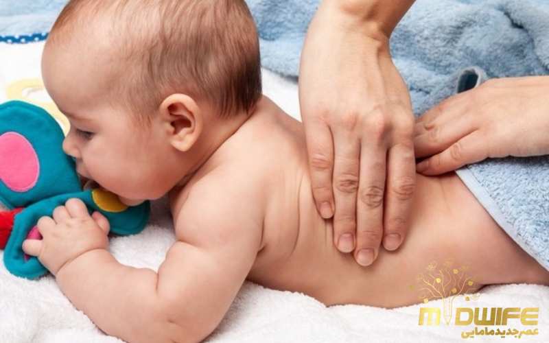 ویژگی های ستون فقرات نوزاد