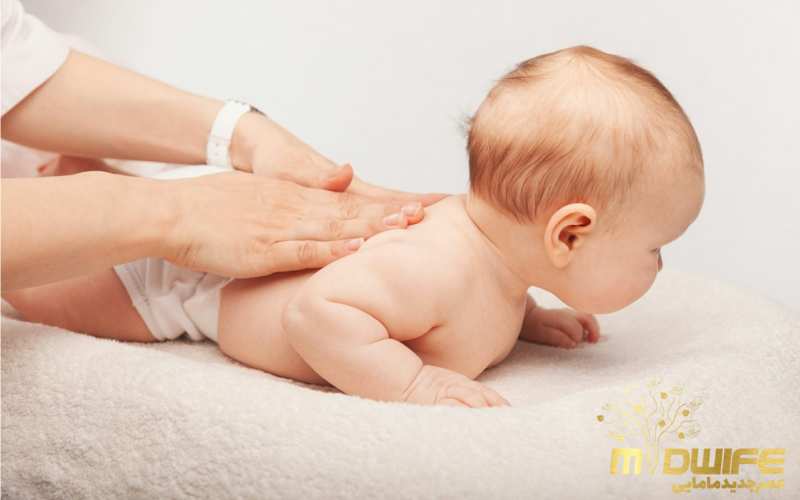 مراحل رشد ستون فقراات نوزاد