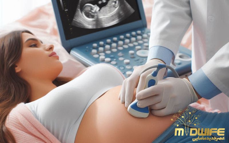 تشکیل نشدن قلب جنین چه علائمی دارد؟ 2 تشخیص تشکیل قلب سونوگرافی