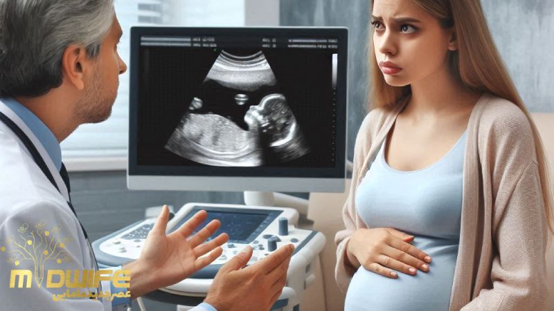 تشکیل نشدن قلب جنین