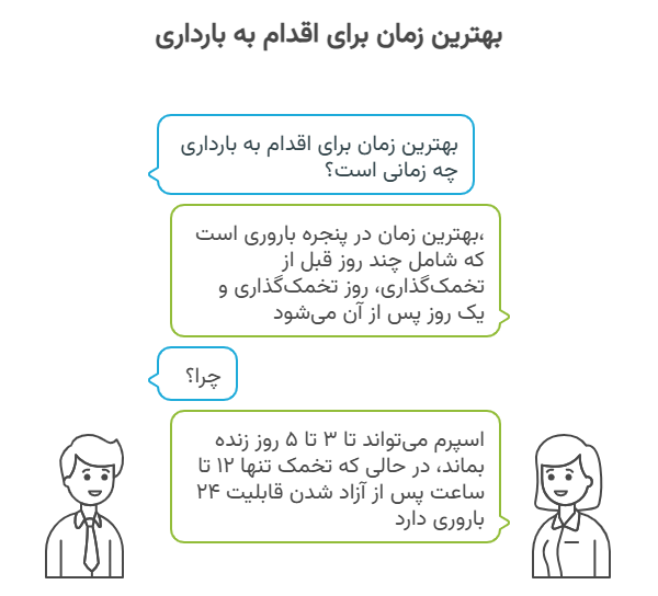 بهترین زمان اقدام به بارداری