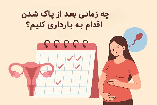 چند روز بعد از پاک شدن اقدام به بارداری کنیم؟