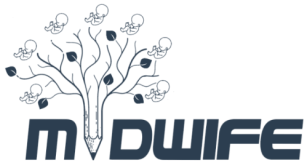 عصر جدید مامایی