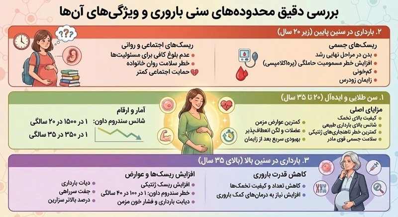 بررسی دقیق محدوده_های سنی و ویژگی_های آن_ها