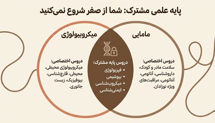 نکات تغییر رشته از میکروبیولوژی به مامایی 6 دروس رشته میکروبیولوژی و مامایی