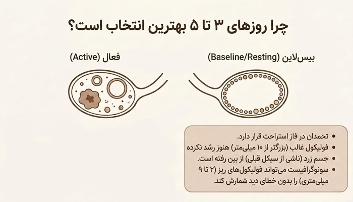 چرا در پریودی سونوگرافی بهتر است؟