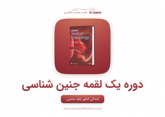 دوره یک لقمه جنین شناسی - کنکور ارشد مامایی با عصر جدید مامایی